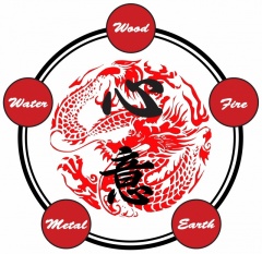 gym Xinyi-Dao Kung Fu Academy